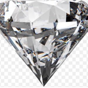 Meet your Posher, Norma